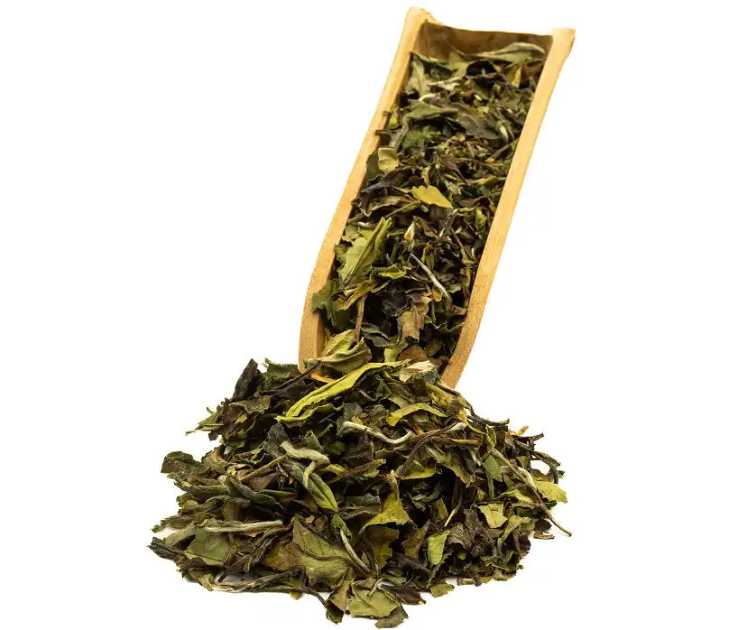 Suche, skręcone liście herbaty nasypane do drewnianej łyżki.